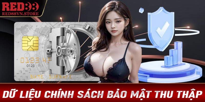 Dữ liệu mà chính sách bảo mật Red88 thu thập từ khách hàng